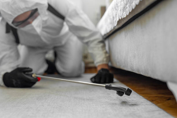 Professional Termite Control technician working in Quincy, WA