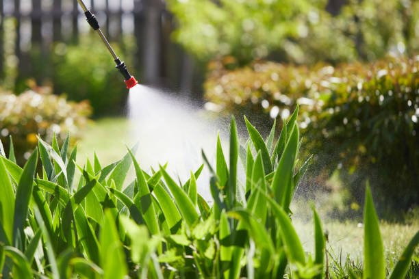 24/7 Emergency Termite Control experts in Quincy, WA