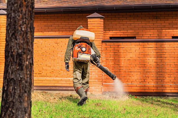Top rated local Termite Control specialists in Quincy, WA